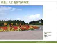 仙盖山入口沿线花卉布置方案