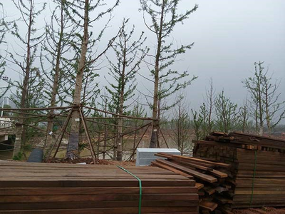 项目施工与设计监理