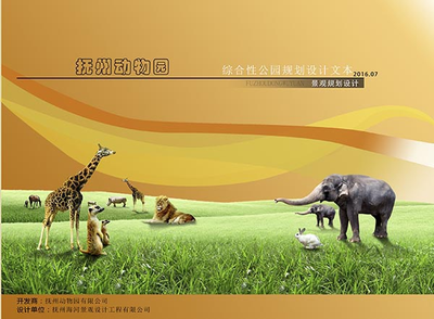 大型综合项目规划与设计